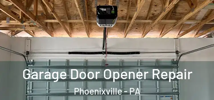  Garage Door Opener Repair Phoenixville - PA