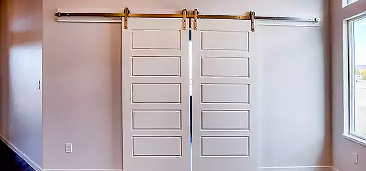 Glass Barn Door with Installation Hardware Kit Phoenixville