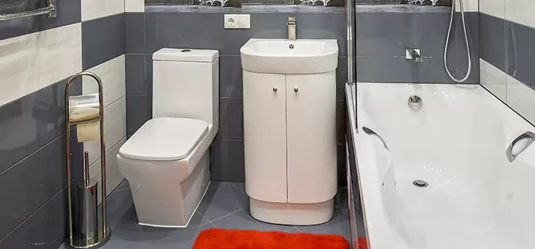 Hansgrohe Shaving Mirror Phoenixville