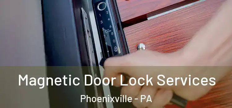 Magnetic Door Lock Services Phoenixville - PA