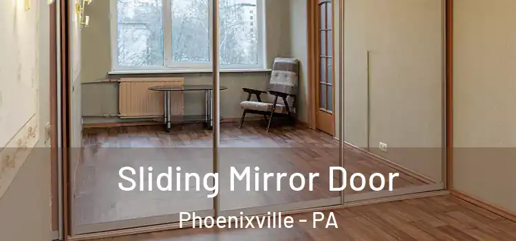  Sliding Mirror Door Phoenixville - PA